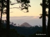 picoduarte - 42